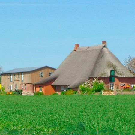 "Hof Triangel - Whg 2" - Bauernhofurlaub Apartman Riepsdorf Kültér fotó